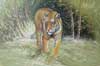 Forest Tiger 24x36