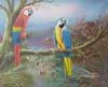 Parrots24 x 36